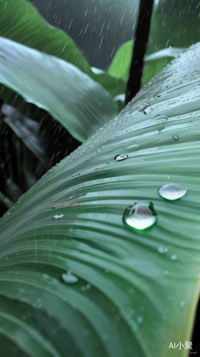 雨中诗人的忧愁