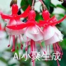 明天会更好