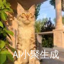 锦心