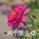 曼曼
