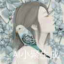 菲儿