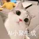 老卢