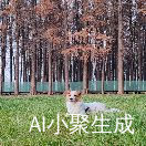 大狸花