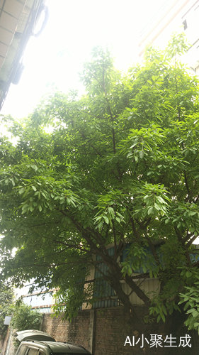 Jie