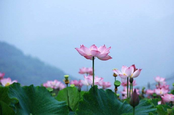 静水流深