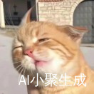 喵卫