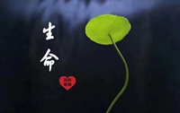 A+御秘💋