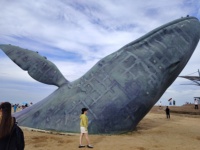 宝妈