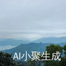 发仔精英