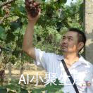耕云读