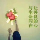 缤月