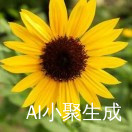 崔英今（智妍)🌞
