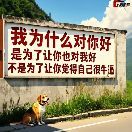 发现艳儿