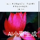 飞