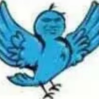 八张图有三张能看的
