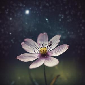 虽然遇见你很晚