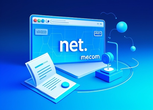 .net.cn域名是什么？