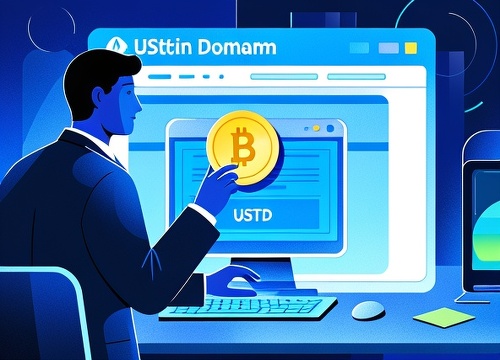 域名交易平台支持USDT付款吗？跨境支付体验解析