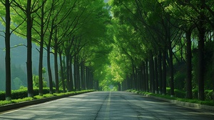 春天的森林，一条壁直的道路，道路两边是大树，树是绿色的，空中俯视，高清