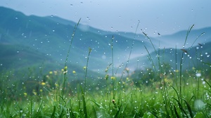 春意盎然，细雨滋润山间美景