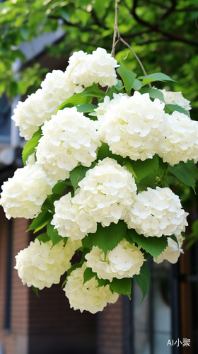 High Resolution White Hydrangea Tree with Rich Details