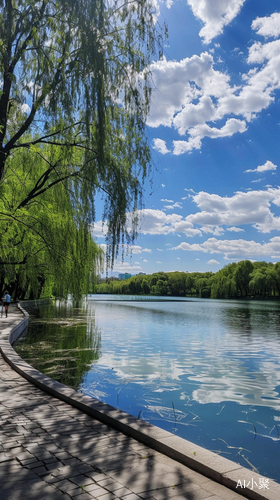 湖畔行走，柳树随风，冶愈系美景