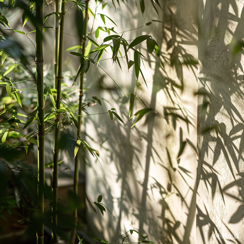 Bamboo Shadows and Building: A Serene East Asian Composition