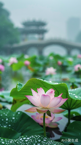 江南桥畔的雨后景色