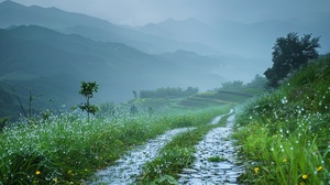 细雨绵绵春意寒，轻烟袅袅绕山间，山谷中隐约传来鸟语花香。蓝灰色的天空中弥漫着湿润的气息，微风轻拂着细雨滴在花瓣上。湿润的草地上，翠绿的小草仍然挺立着，它们身上沾满了雨露的痕迹。水滴顺着叶片滚落，在细雨中形成美丽的水珠。山间的青石路上映着微弱的光芒，被细雨洗涤得更加干净。在这样的春天，小鸟们在树梢上低语，花朵们含苞待放，山间弥漫着一片神秘而宁静的氛围。