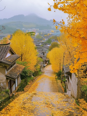 金黄色的银杏树，秋天，雨后，远处青山，潮湿青石板路，徽派江南老宅，金黄色的银杏开满树， 红色枫树，金色的银杏树，地面有真实清晰的落叶，山顶向下的拍摄视角，高清画质，相机拍摄效果 v 5.2 ar 9:16