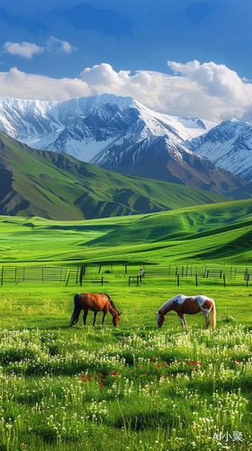 风景如画：阳光下的雪山草原牧场