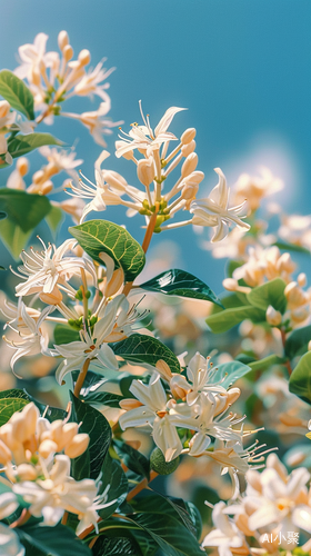 Honeysuckle Tree Closeup: Hyper Realistic Photography