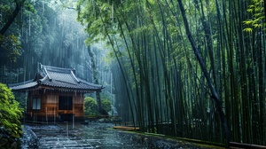 雨中竹林小屋，自然风景治愈安全感