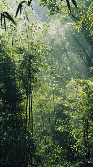 竹深树密虫鸣处，时有微凉不是风，细节复杂，纹理清晰，徕卡镜头，真实照片。