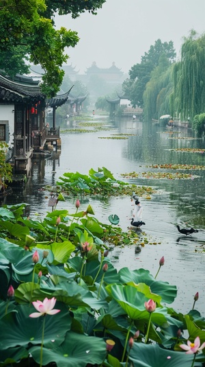 江南古镇，有一个湖，湖里面有荷花，湖旁边有柳树，空中有几只小鸟，下着中雨落入湖里，水波纹明显，湖旁边有一条古道，古道有几名撑着雨伞，穿着旗袍的人员走动