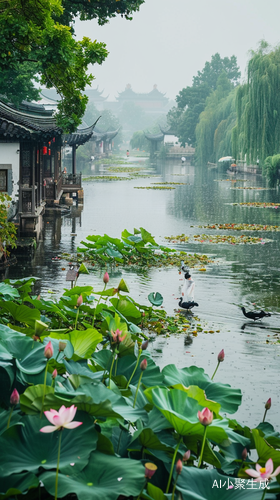 雨中荷塘古道旗袍行人
