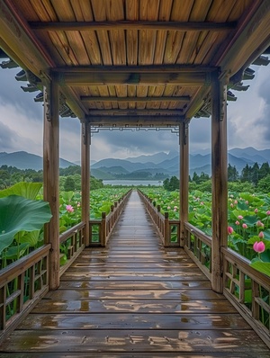 清凉夏日，多云，木制走廊，长亭，凉亭，广阔的湖开满荷花，远景， 高清，