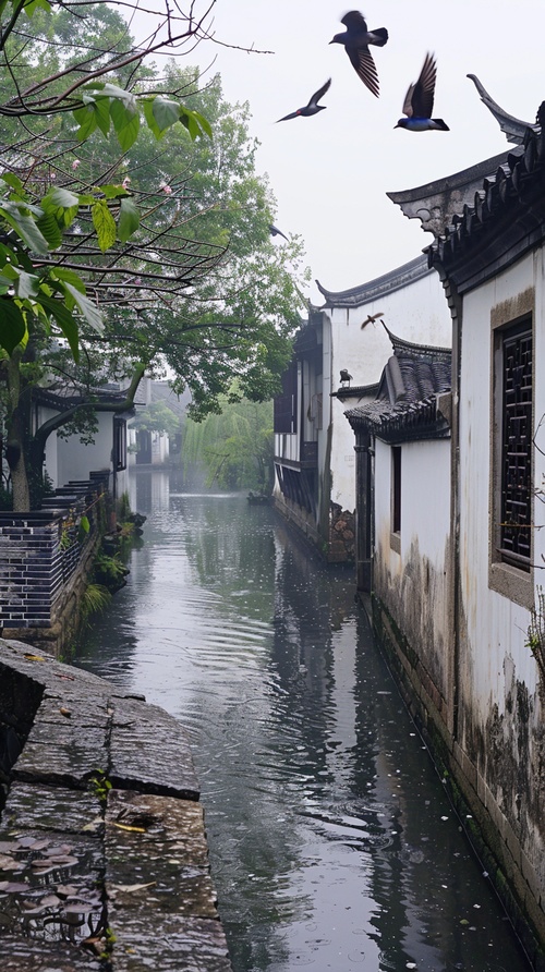 白墙黑瓦烟如画，燕子双飞语呢哝，江南水乡美景，高清写实