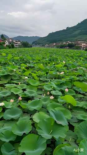 江南水乡全景：莲叶摇曳山水相映