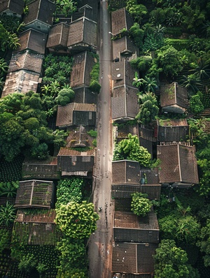 乡村街道两边都是绿色的植物，道路两旁有几间房屋，超真实，高清拍摄