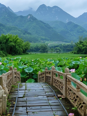 绿色的稻田在远方,荷花在小桥上绽放,流水在中国建筑风格中流淌,植物建成的龙型小桥。前方是无垠的绿色草原,周围环绕着起伏的山脉。照片采用高分辨率,通过手机拍摄的旅游照片呈现自然风景之美。