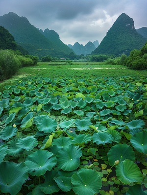 中国南方的绿色稻田被莲叶覆盖,上面有无尽的由莲花枪草制成的龙形桥。背景以起伏的山脉和水体为特色。在他们前面矗立着睡莲,周围是茂密的植被。这张照片是用高清摄像头手机拍摄的,展示了风景摄影的精美细节。它具有细腻的纹理和明亮的色彩,呈现出一种吸引人心的自然美。