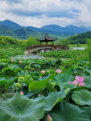 几棵荷花在荷塘上绽放,流水在中国建筑风格的龚桥中流淌,。前方是无垠的绿色草原,周围环绕着起伏的山脉。照片采用高分辨率,通过手机拍摄的旅游照片呈现自然风景之美。