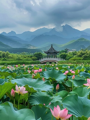 几棵荷花在荷塘上绽放,流水在中国建筑风格的龚桥中流淌。前方是无垠的绿色草原,周围环绕着起伏的山脉。照片采用高分辨率,通过手机拍摄的旅游照片呈现自然风景之美。