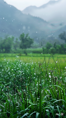 春雨细语中的宁静山谷与生机盎然的自然