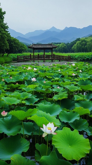 几棵荷花在荷塘上绽放,流水在中国建筑风格的绿植扎成的龚桥中流淌,。前方是无垠的绿色草原,周围环绕着起伏的山脉。照片采用高分辨率,通过手机拍摄的旅游照片呈现自然风景之美。