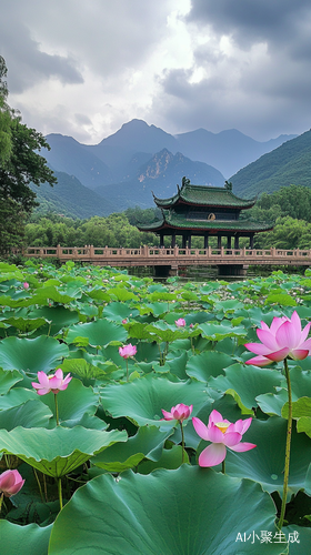 荷花绽放与绿植桥映衬的自然风景