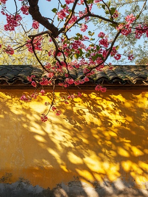 In the ancient town of Jiangnan, under an old eaves tree with yellow walls and blue sky in springtime, sunlight shines through flowers on the wall, creating beautiful shadows. The photographer captured this moment using a Canon camera. This photo was created in the style of award-winning photographers.