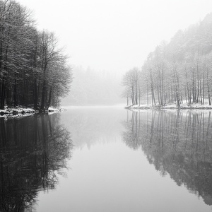 Winter, woods, lake,black and white, mist, humidity, HD qualityv 5