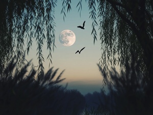 At dusk, the moon is on a tall willow head, and two birds fly by in the distance, CG rendering, real scenery, 16K, super high resolution, super high definition v 5.2